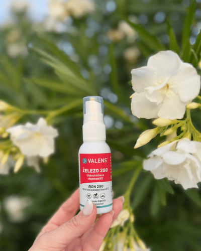 Zelezo-2Go Zelezo-2Go